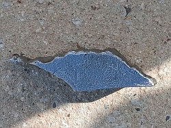 7OZ Fe-Ni meteorite